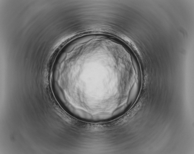 X0000112721019200909101442