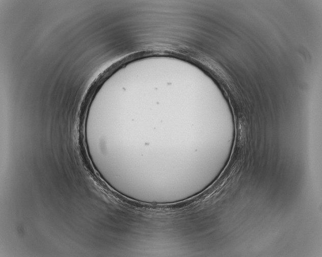 X0000112721020200909101442