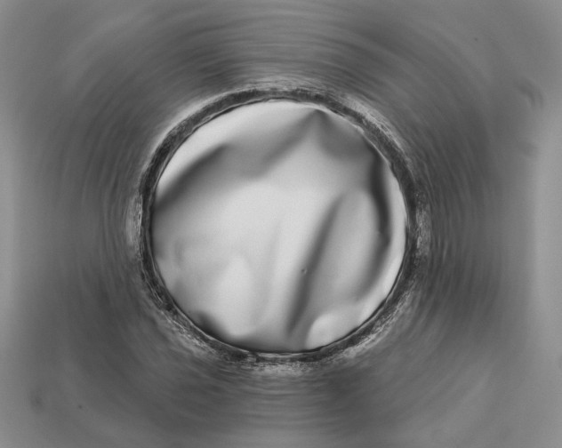 X0000112721021200909101442