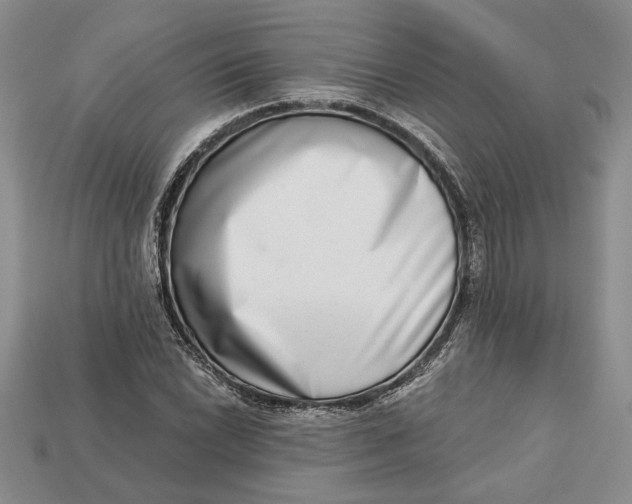 X0000112721022200909101442