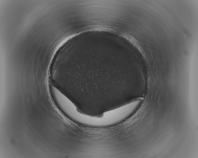 X0000112721024200909101442