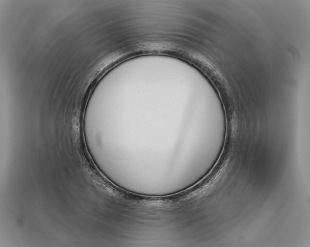 X0000112721025200909101442