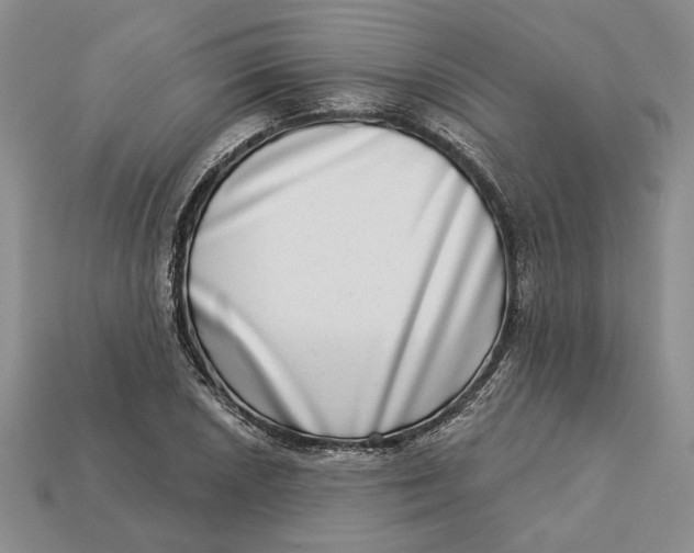 X0000112721026200909101442