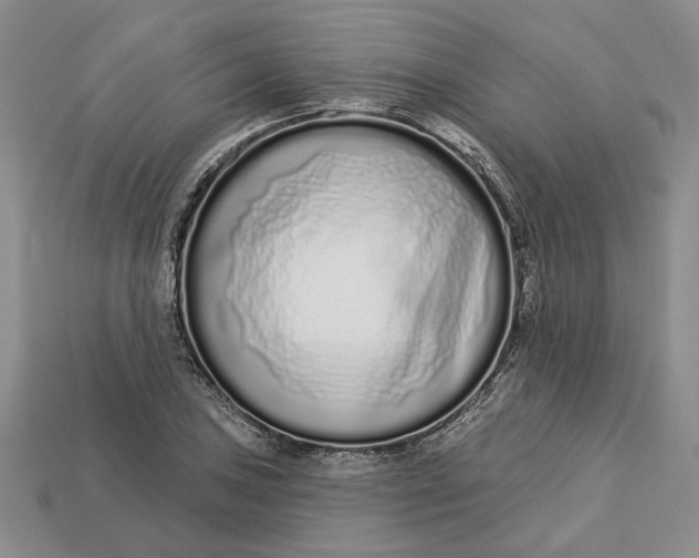 X0000112721027200909101442