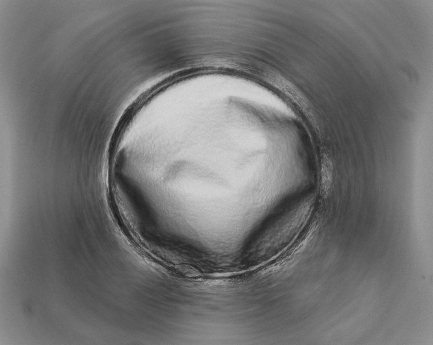 X0000112721028200909101442