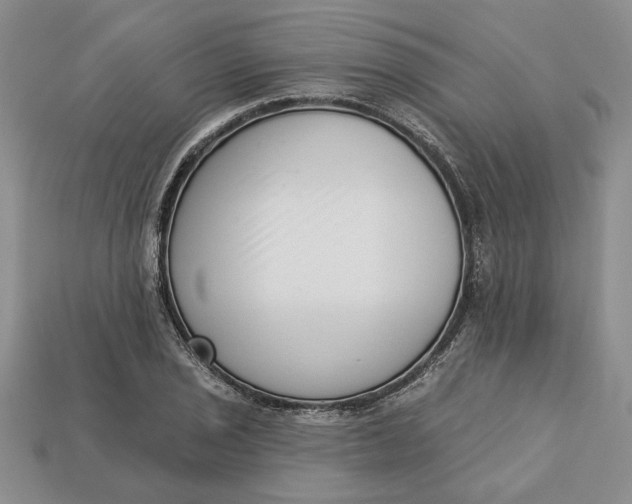 X0000112721029200909101442