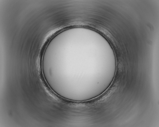 X0000112721030200909101442