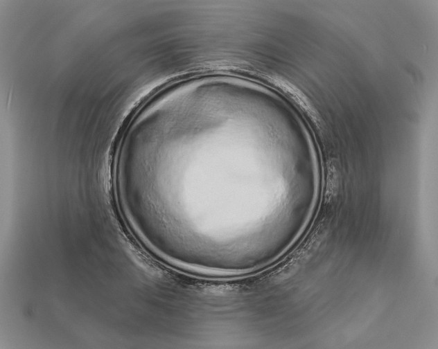 X0000112721031200909101442