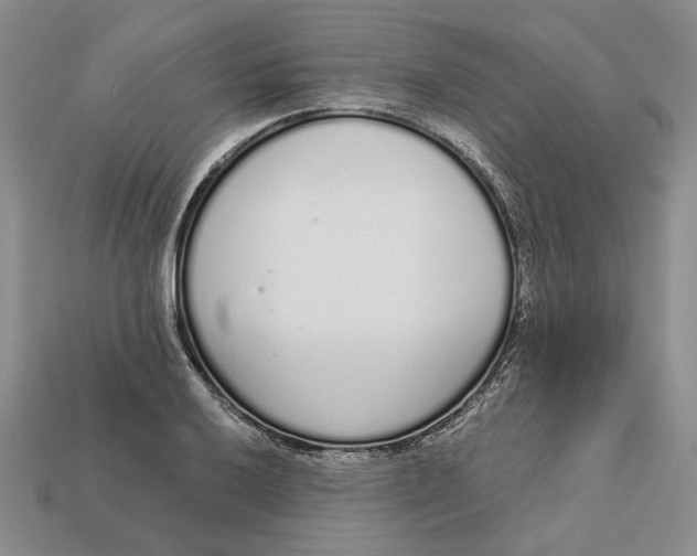 X0000112721032200909101442