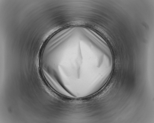 X0000112721034200909101442