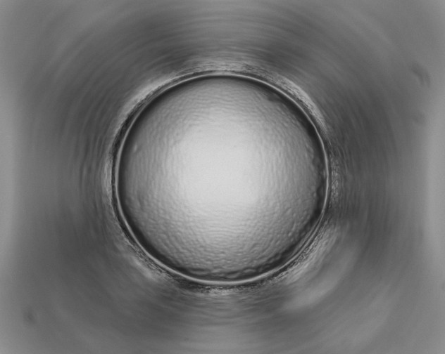 X0000112721035200909101442