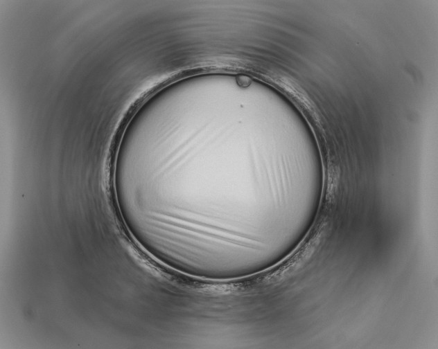 X0000112721037200909101442