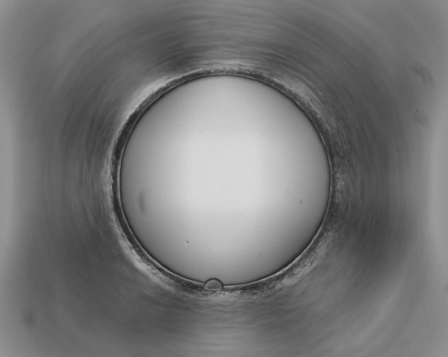 X0000112721038200909101442