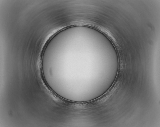 X0000112721040200909101442