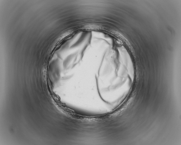 X0000112721041200909101442