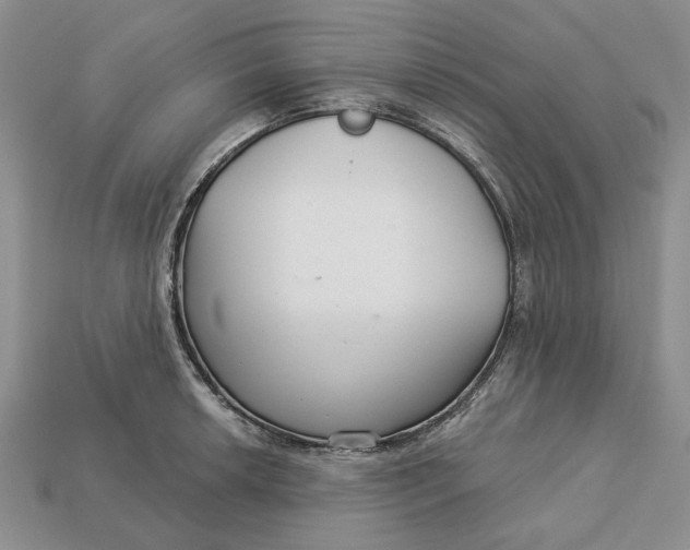 X0000112721042200909101442