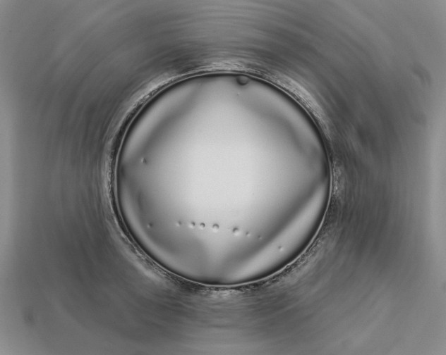 X0000112721043200909101442