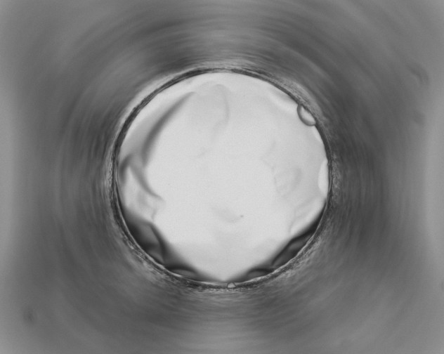 X0000112721044200909101442