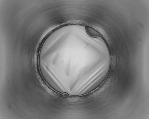 X0000112721046200909101442