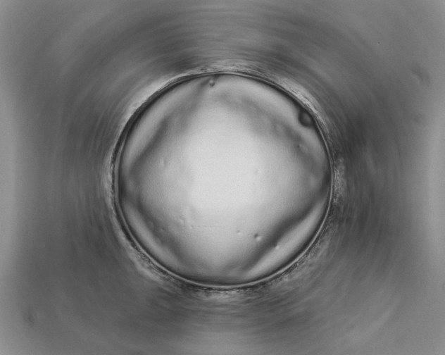 X0000112721047200909101442