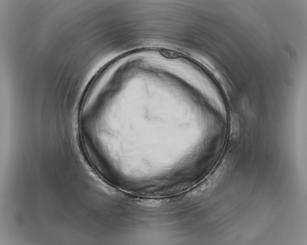 X0000112721048200909101442