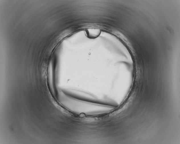 X0000112721049200909101442