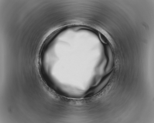 X0000112721051200909101442