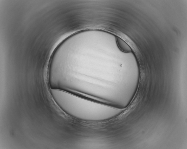 X0000112721052200909101442