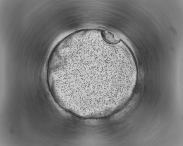 X0000112721053200909101442