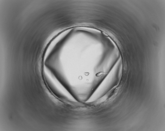 X0000112721054200909101442