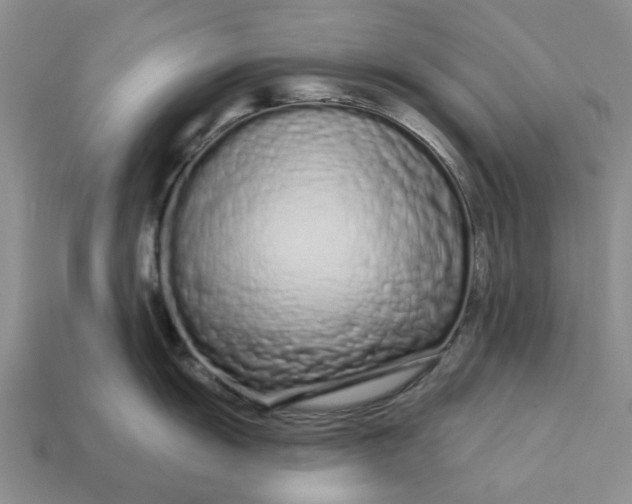 X0000112721055200909101442