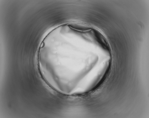 X0000112721056200909101442