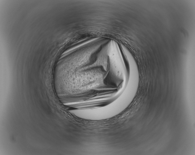 X0000112721057200909101442