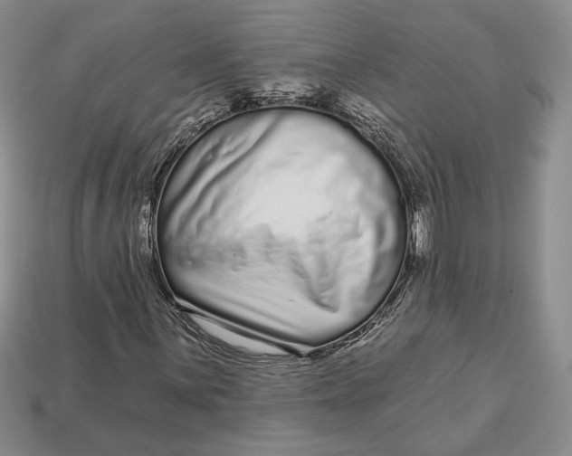 X0000112721059200909101442