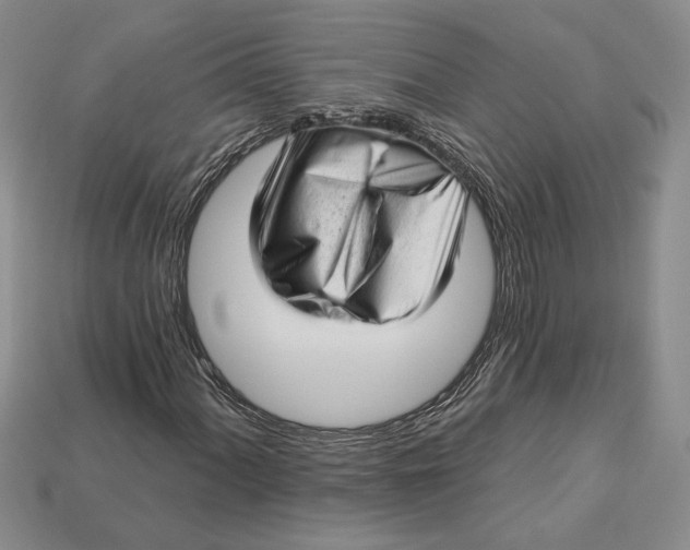 X0000112721060200909101442