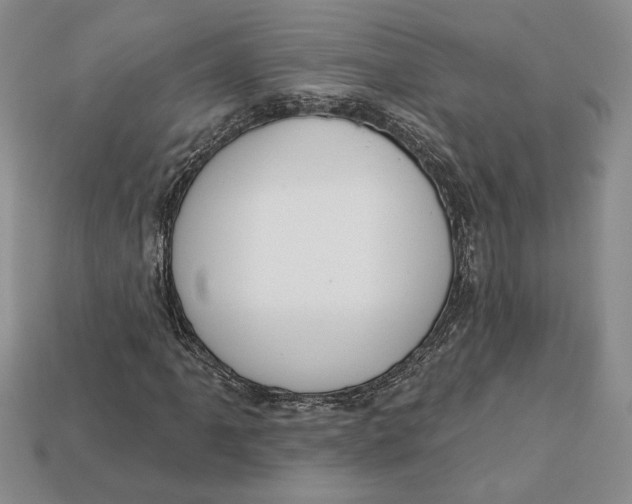 X0000112721061200909101442