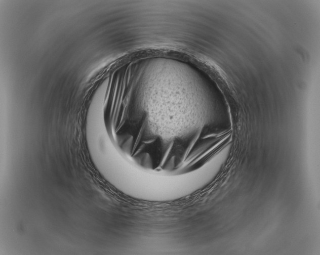 X0000112721064200909101442