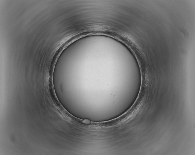 X0000112721065200909101442