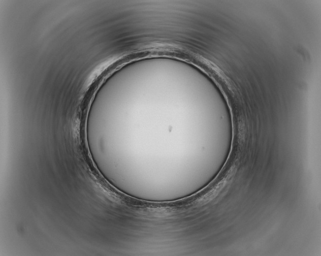 X0000112721066200909101442