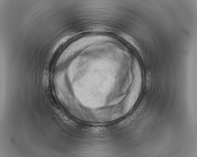 X0000112721067200909101442