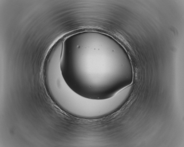 X0000112721068200909101442