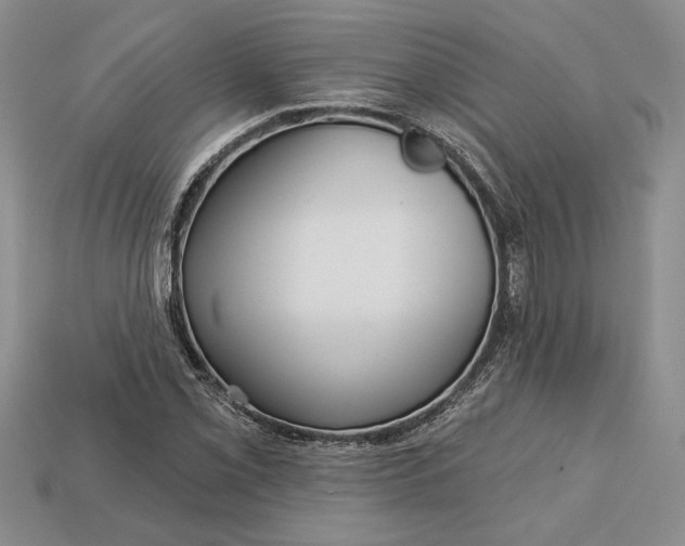 X0000112721069200909101442