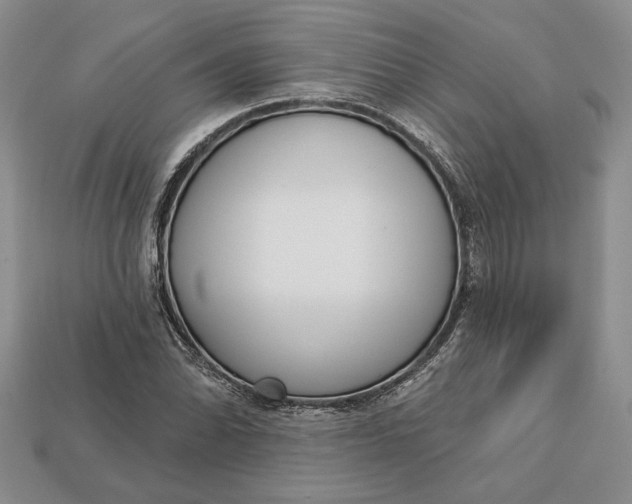 X0000112721070200909101442