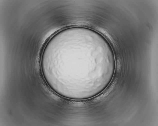 X0000112721071200909101442