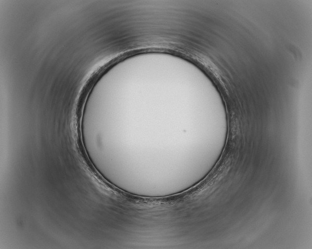 X0000112721072200909101442