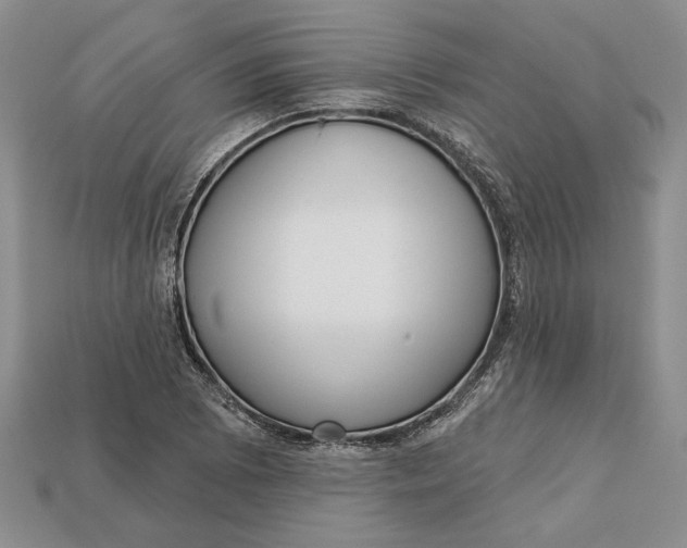 X0000112721073200909101442