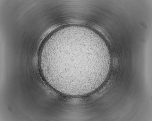 X0000112721074200909101442