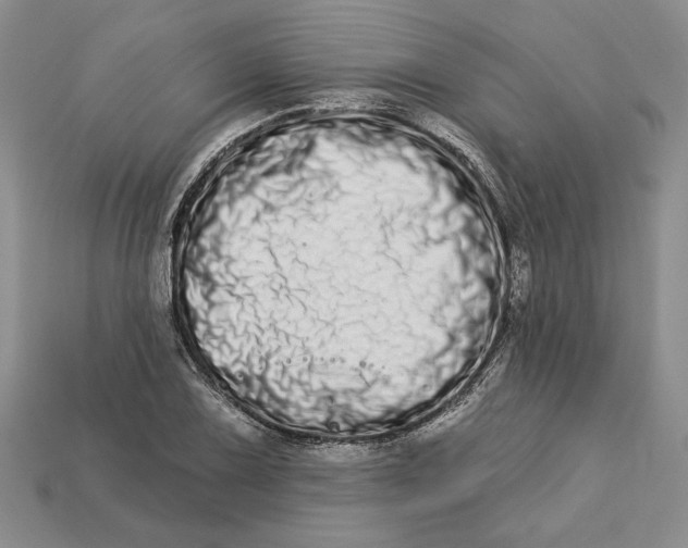 X0000112721075200909101442