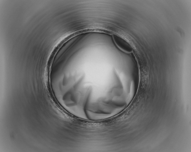 X0000112721076200909101442