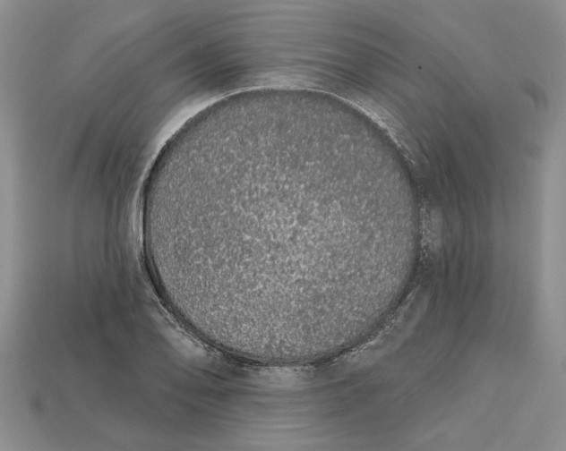 X0000112721078200909101442